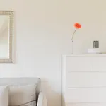 Lieblingsplatz Lejlighed